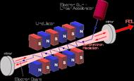 تئوری خطی لیزر الکترون آزاد کانال یونی مغناطیده
